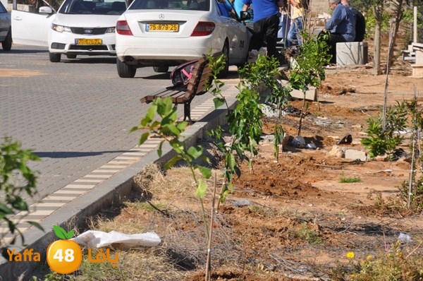 ashjar taso 0328 (40).JPG